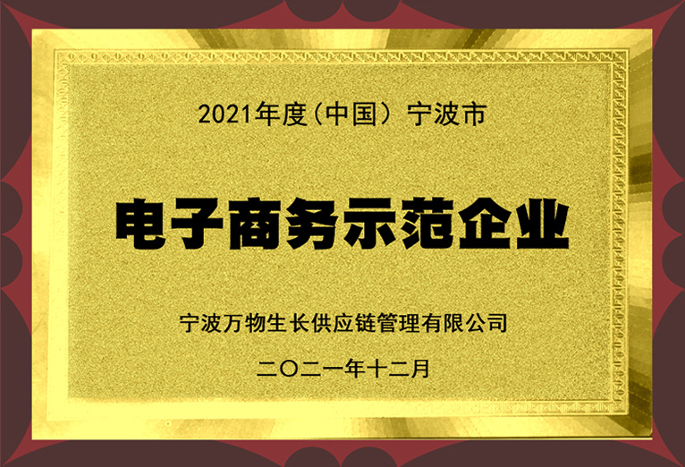电子商务示范企业